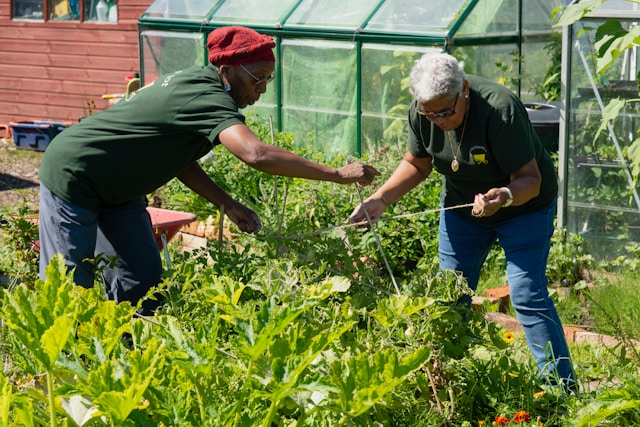 Activities at Cedar Lodge Care Home